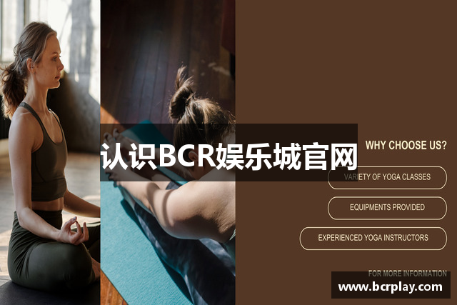 认识BCR娱乐城官网